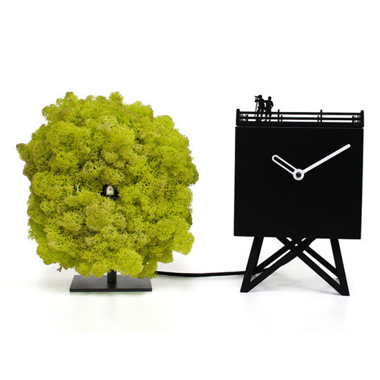 BIRDWATCHING CUCKOO CLOCK BY PROGETTI - Luxxdesign.com