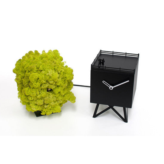 BIRDWATCHING CUCKOO CLOCK BY PROGETTI - Luxxdesign.com