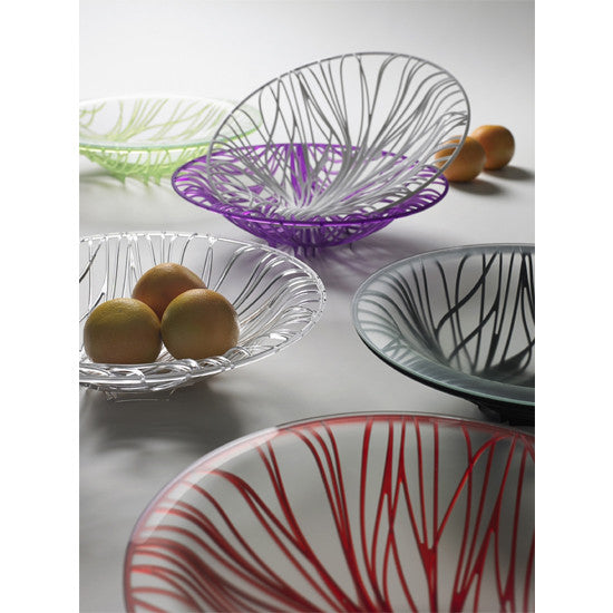 FLORA CENTERPIECE BY CASA BUGATTI - Luxxdesign.com - 2