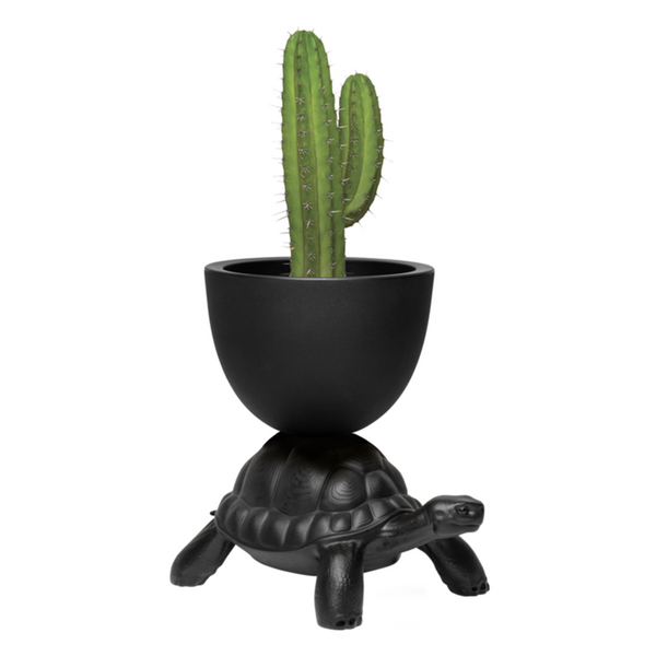 TURTLE CARRY PLANTER AND CHAMPAGNE COOLER
